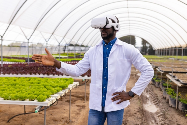 L’Intelligence Artificielle : Une Opportunité Stratégique pour le Développement Agricole au Burundi